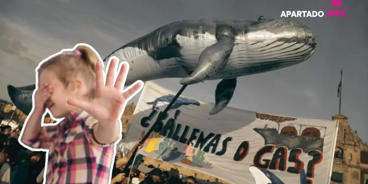 Proyecto Saguaro: Gasoducto provocará gran daño ambiental