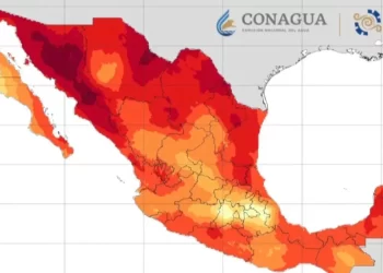 Vinculan a proceso a exgerente de empresa semillera de Cajeme, Sonora; lo acusan de fraude superior a 3.3 mdp