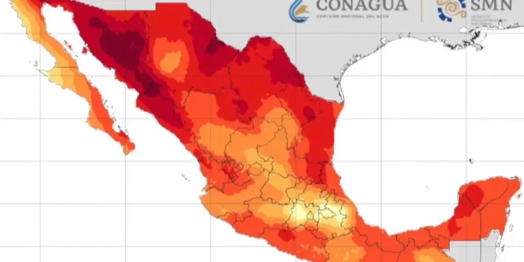 Vinculan a proceso a exgerente de empresa semillera de Cajeme, Sonora; lo acusan de fraude superior a 3.3 mdp