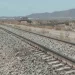 Sujeto Pierde la Vida al Ser Embestido por Un Tren de Carga en Hermosillo