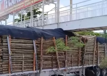 Tráiler se Quedó Atorado en Puente Peatonal en Luis Encinas y De Las Américas en Hermosillo