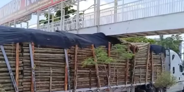 Tráiler se Quedó Atorado en Puente Peatonal en Luis Encinas y De Las Américas en Hermosillo