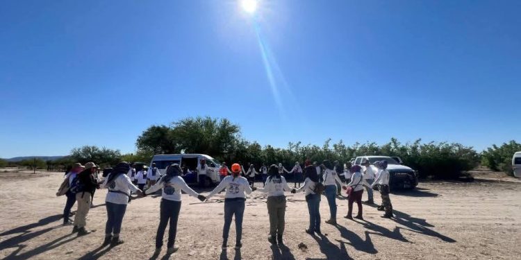 Realizan 10 colectivos jornada de búsqueda