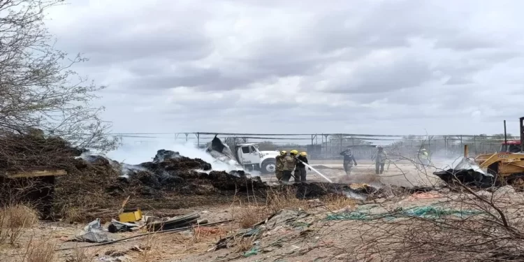 Bomberos de Hermosillo Sofocan Incendio en Rancho al Norte de Hermosillo