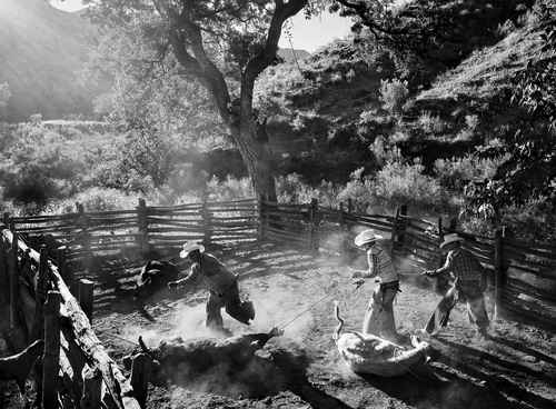 Werner Segarra retrata la belleza y fortaleza de los vaqueros de la Sierra Alta de Sonora