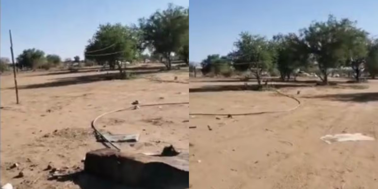 Ceci Flores denuncia que madres buscadoras fueron abandonadas en supuesto campo de tortura hallado en Hermosillo; exige protección urgente