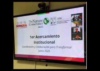 CEDES y TNC dan primer paso para la firma de un acuerdo de trabajo y cooperación