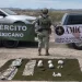 Golpe al crimen organizado: AMIC y Defensa aseguran vehículos, armas y droga en Sonora