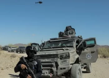 La guerra por el desierto de Sonora: Un colapso económico donde sólo florece el narco