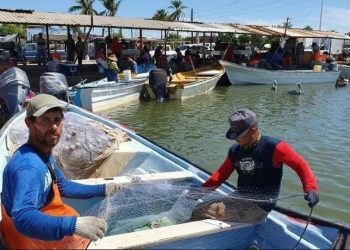 Pescadores denuncian intento de criminalizarlos con reforma planteada en San Lázaro