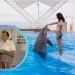 Terapia con delfines: abren convocatoria para personas con discapacidad