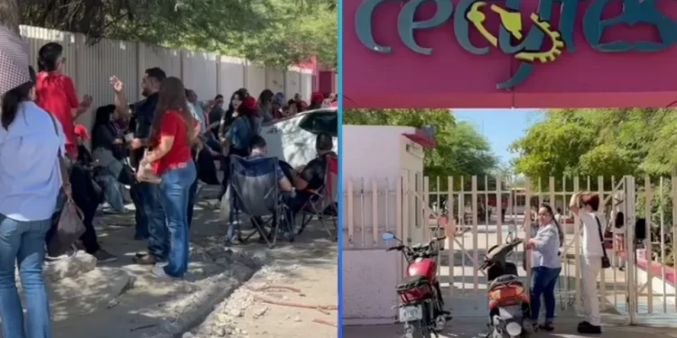 Reanudarán actividades escuelas federales en Sonora