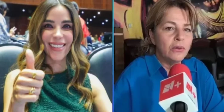 Convocan a marcha a favor de ciudadana que criticó a diputada en Hermosillo