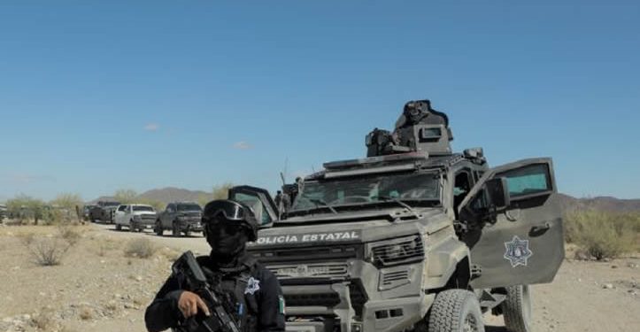 La guerra por el desierto de Sonora: Un colapso económico donde sólo florece el narco