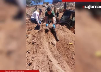 Hallan osamenta en fosa clandestina de Nogales