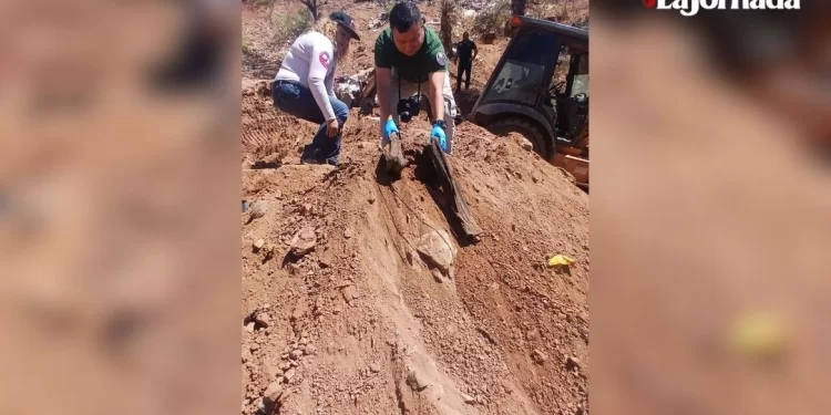 Hallan osamenta en fosa clandestina de Nogales