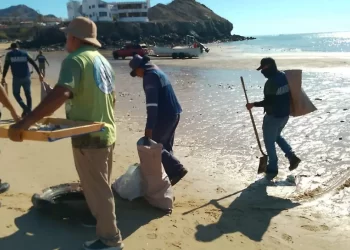 Salvar a las almejas: estas mujeres luchan por conservar una forma de vida sustentable en Sonora