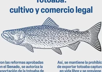 Senado usa imagen falsa de especie en peligro de extinción y biólogos dejan críticas