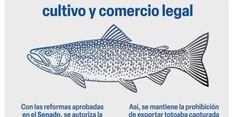Senado usa imagen falsa de especie en peligro de extinción y biólogos dejan críticas