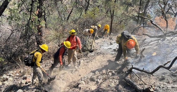 Se activa nuevo incendio forestal en Sonora con afectación de 200 hectáreas en predio de Agua Prieta