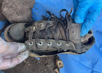 Guerreras Buscadoras de Cajeme hallan 15 cuerpos en fosas clandestinas; Fiscalía de Sonora procesa el lugar