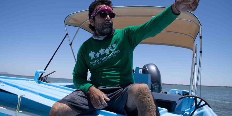 Cosme transformó su vida y la de Bahía de Kino tras conocer el llanto de las tortugas; ahora cuida a 900