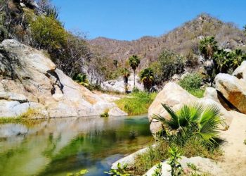 Día Mundial del Medio Ambiente, 5 de junio de 2025