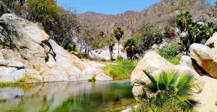Día Mundial del Medio Ambiente, 5 de junio de 2025