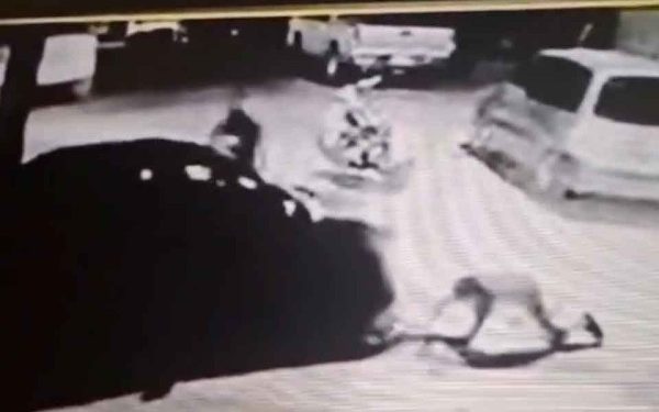 Atropella y mata a un hombre en Parral, lo detienen en Sonora