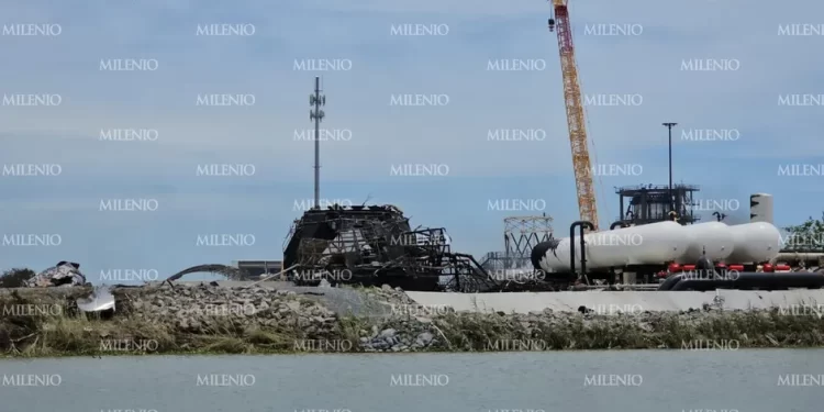 Semarnat y Profepa toman evidencia de daño ambiental por basura espacial de SpaceX