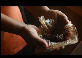 Del opio a la “mexicana marrón”, el papel de los chinos en el origen de la red del narcotráfico en México