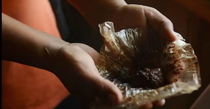 Del opio a la “mexicana marrón”, el papel de los chinos en el origen de la red del narcotráfico en México