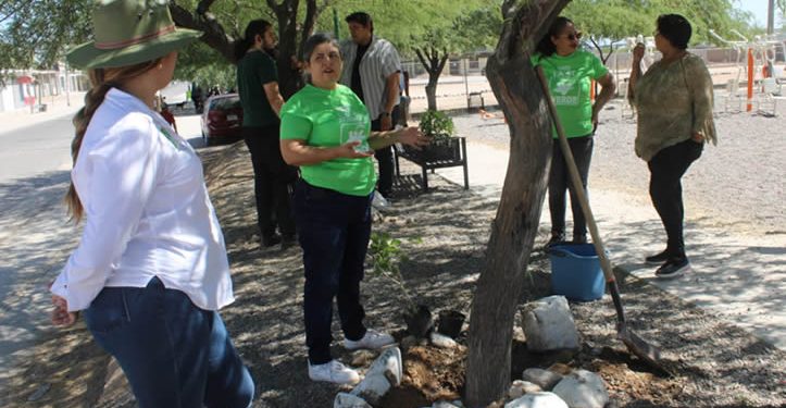 Activa Partido Verde jornadas de limpieza y reforestación en Hermosillo