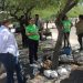 Activa Partido Verde jornadas de limpieza y reforestación en Hermosillo