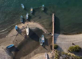 El narco en el mar: así fue como el crimen organizado expandió sus redes a la pesca ilegal