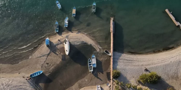 El narco en el mar: así fue como el crimen organizado expandió sus redes a la pesca ilegal