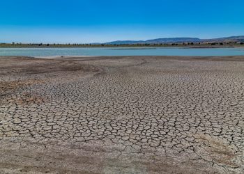Sequía en Sonora: completamente vacías, 2 de sus 10 presas