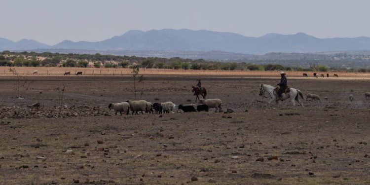 Mientras el país mejora, Chihuahua, Sonora y Sinaloa enfrentan sequía extrema