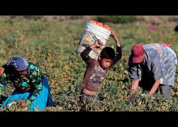 “No al trabajo infantil en Sonora”, pronunciamiento de la FNGS