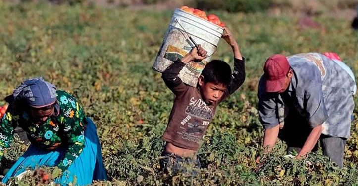 “No al trabajo infantil en Sonora”, pronunciamiento de la FNGS