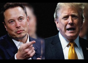 Tesla se desploma un 14% en bolsa tras pelea entre Trump y Musk