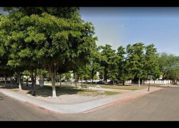 Denuncian parcialidad en juicio por remodelación en camellón del bulevar Hidalgo