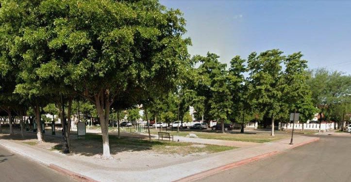 Denuncian parcialidad en juicio por remodelación en camellón del bulevar Hidalgo