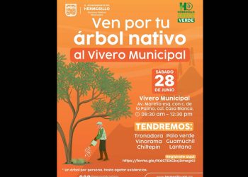 Se donarán árboles nativos el próximo sábado en el Vivero Municipal de Hermosillo