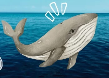 El proyecto de Mexico Pacific en crisis: permisos, conflictos y retrasos bloquean Saguaro