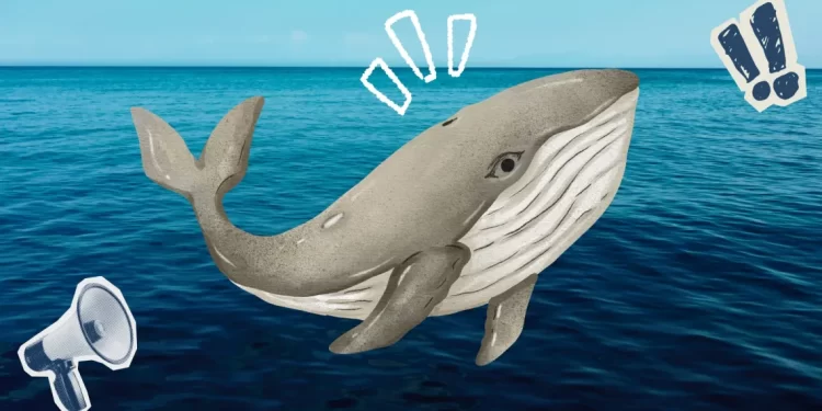 El proyecto de Mexico Pacific en crisis: permisos, conflictos y retrasos bloquean Saguaro