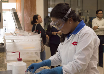 Dow ve oportunidades en la movilidad eléctrica más allá del litio