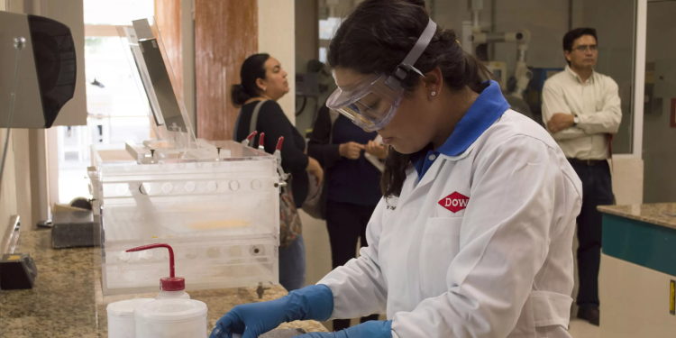 Dow ve oportunidades en la movilidad eléctrica más allá del litio