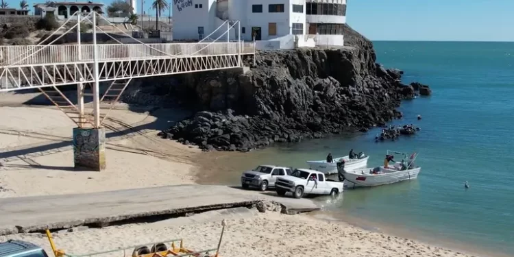 Expertos del CIRVA avalan cambios en polígonos de protección de vaquita marina