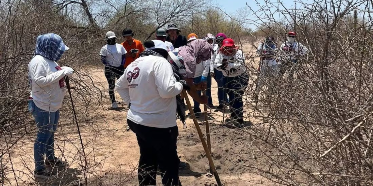 En el segundo día de rastrillo, Madres Buscadoras hallan dos cuerpos; FGJE amplía investigación en Hermosillo